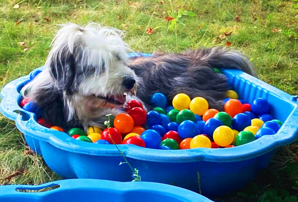 „Ein erster Schritt“